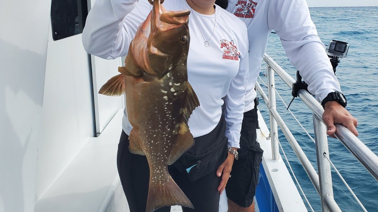 Sailor's Choice Fishing Party Boat Key Largo FL