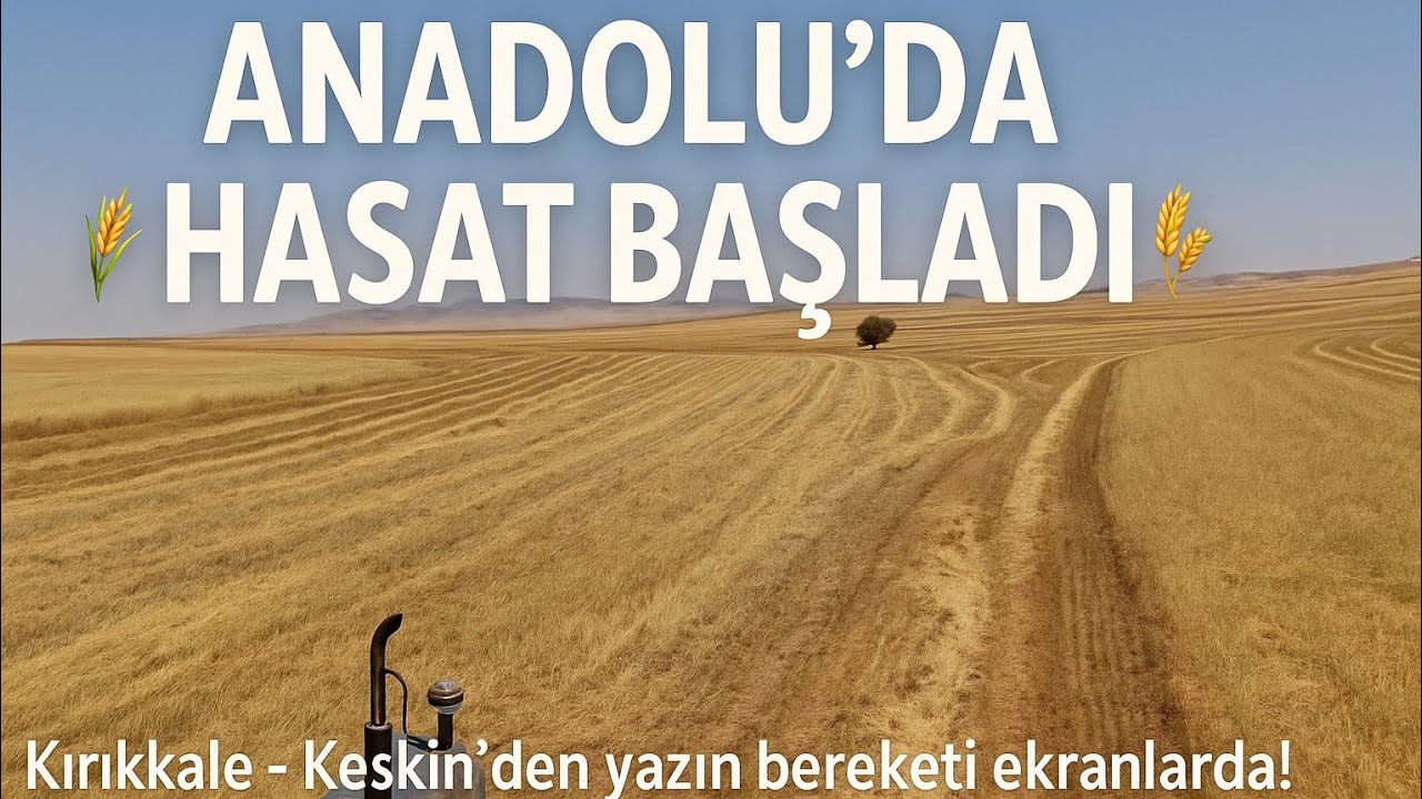 Anadolu Çiftcileri ile Bir Hasat Günü...