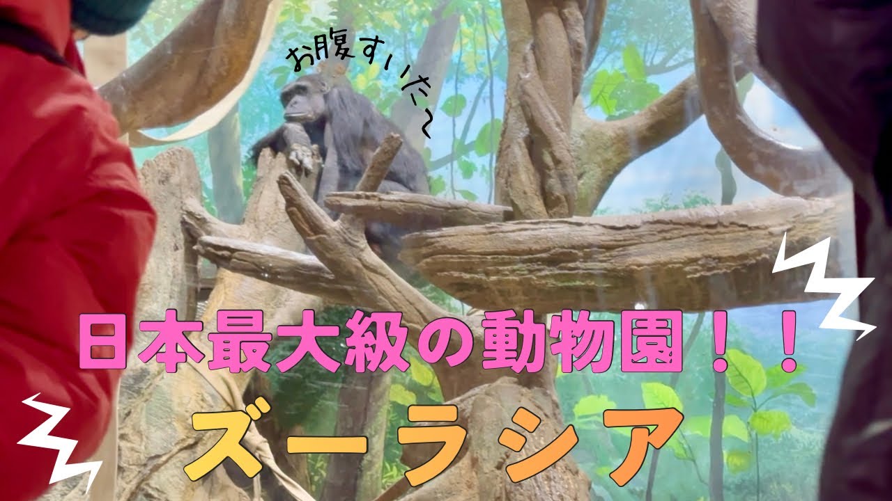 夫婦のお出かけvlog   Inズーラシア