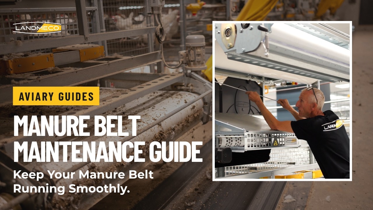Manure Belt Maintenance for LANDMECO Aviary Systems | Easy Guide for Poultry Farmers