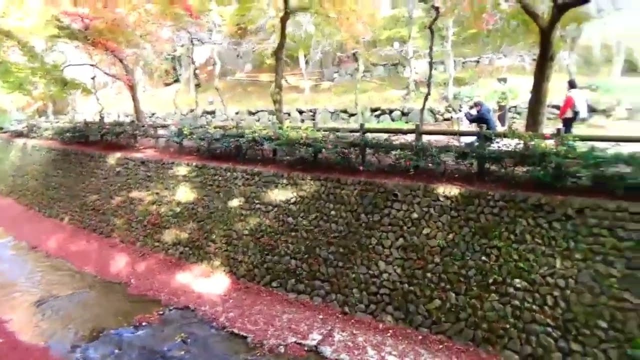 【】京都街道