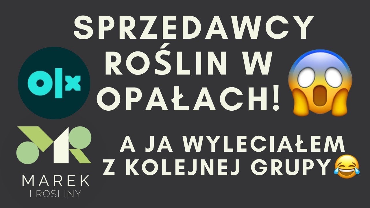Sprzedawcy roślin są przerażeni, a ja wyleciałem z kolejnej grupy! Roślinna drama