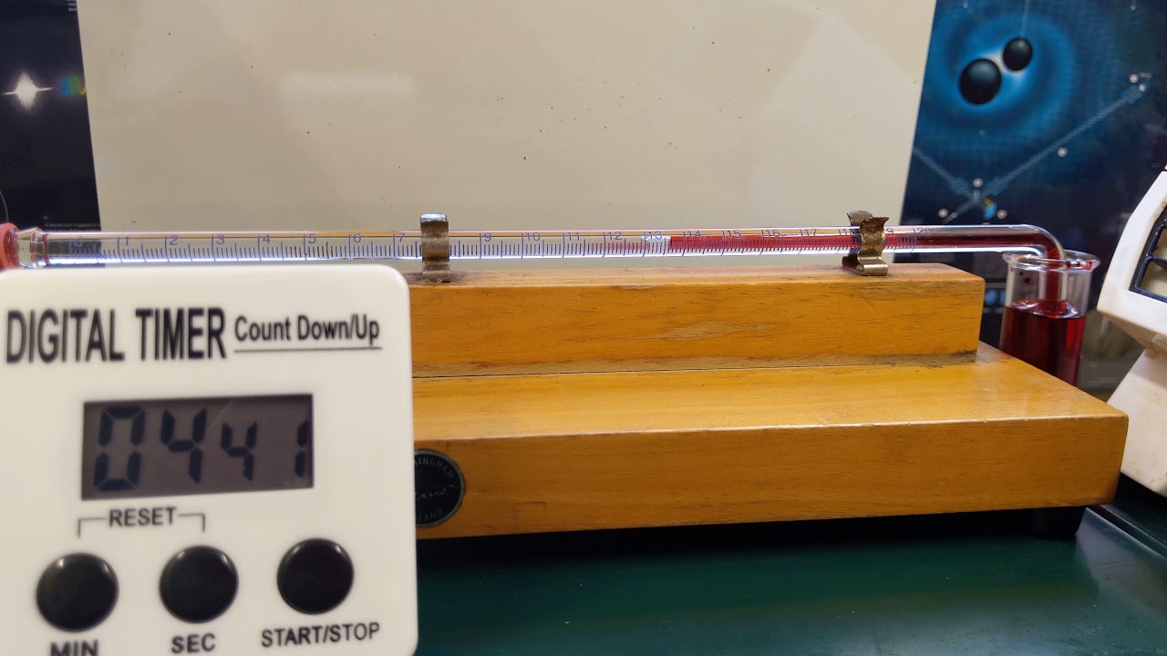 Transpiration Potometer Timelapse
