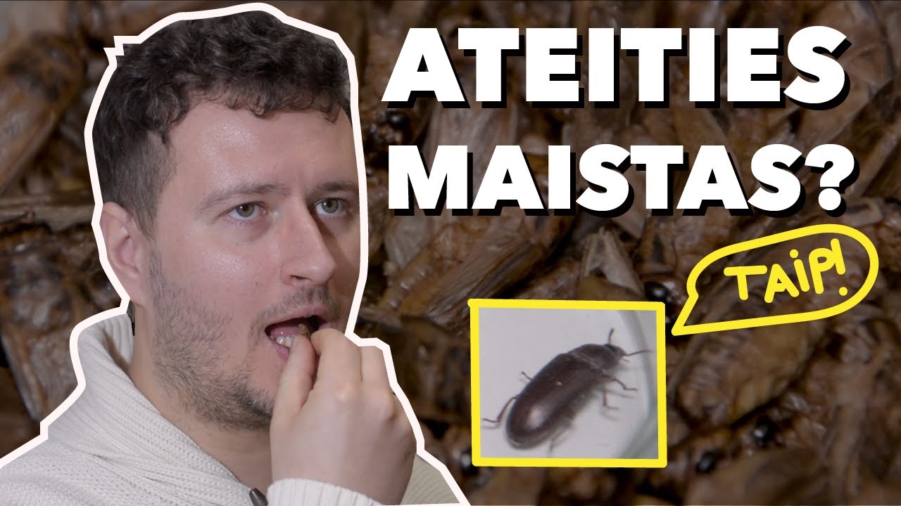 Lietuviški maistui auginami vabzdžiai – ateities maistas?