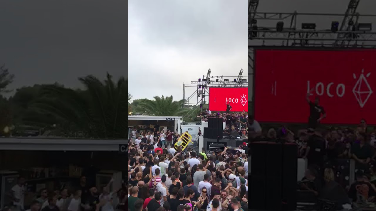 Rissa Guendalina 27/07/2019