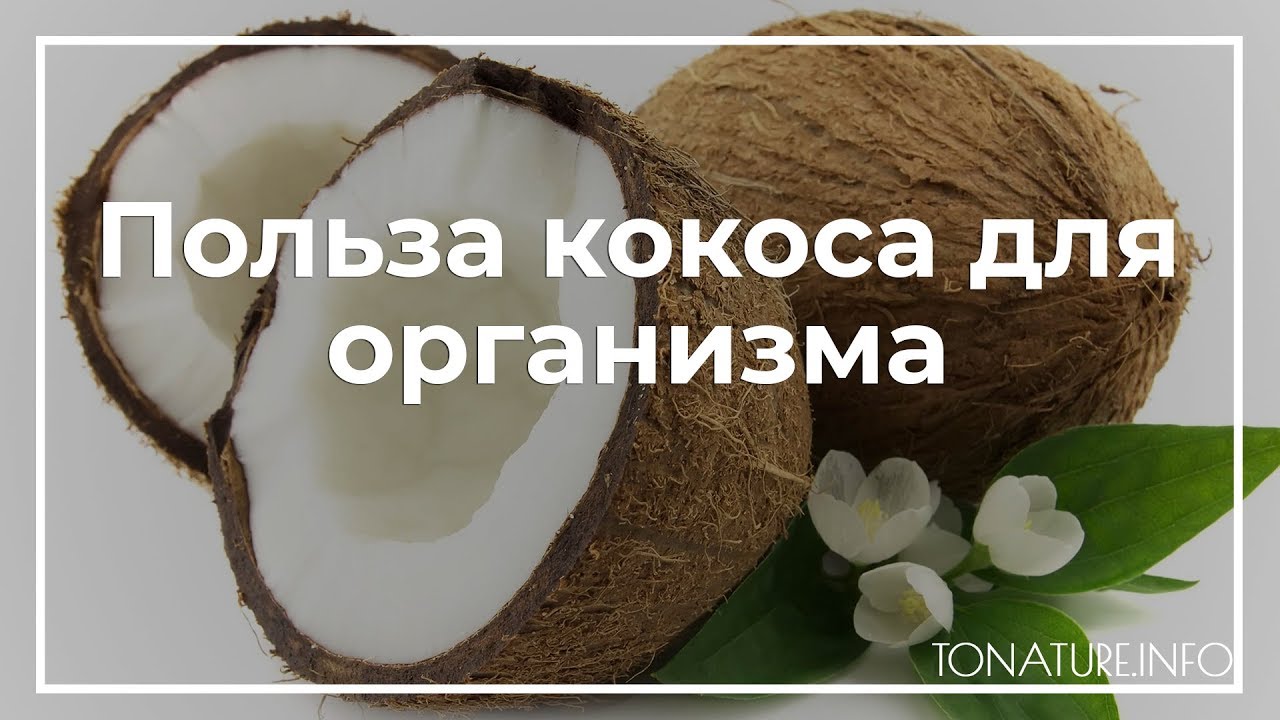 Польза кокоса для организма | toNature.Info
