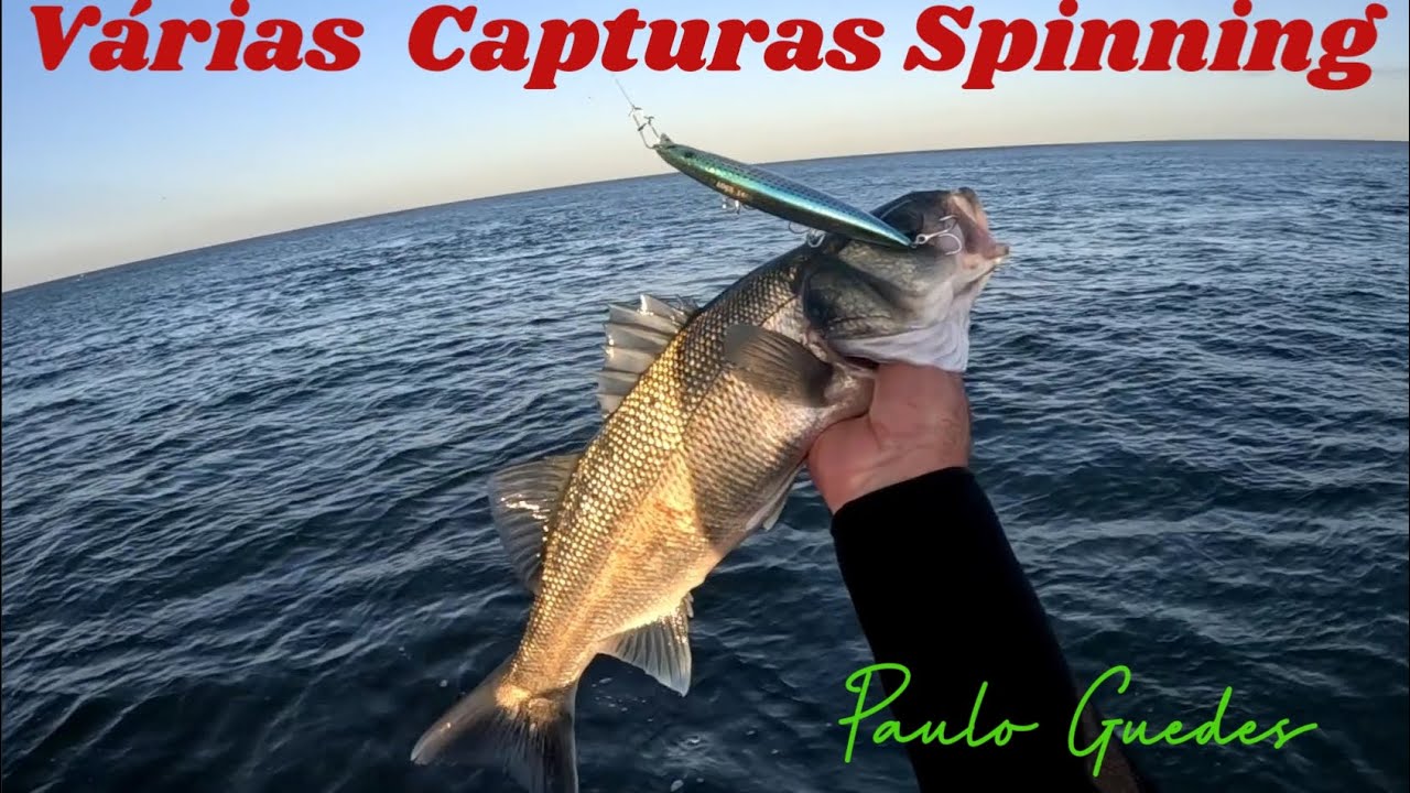 Várias  capturas Spinning 