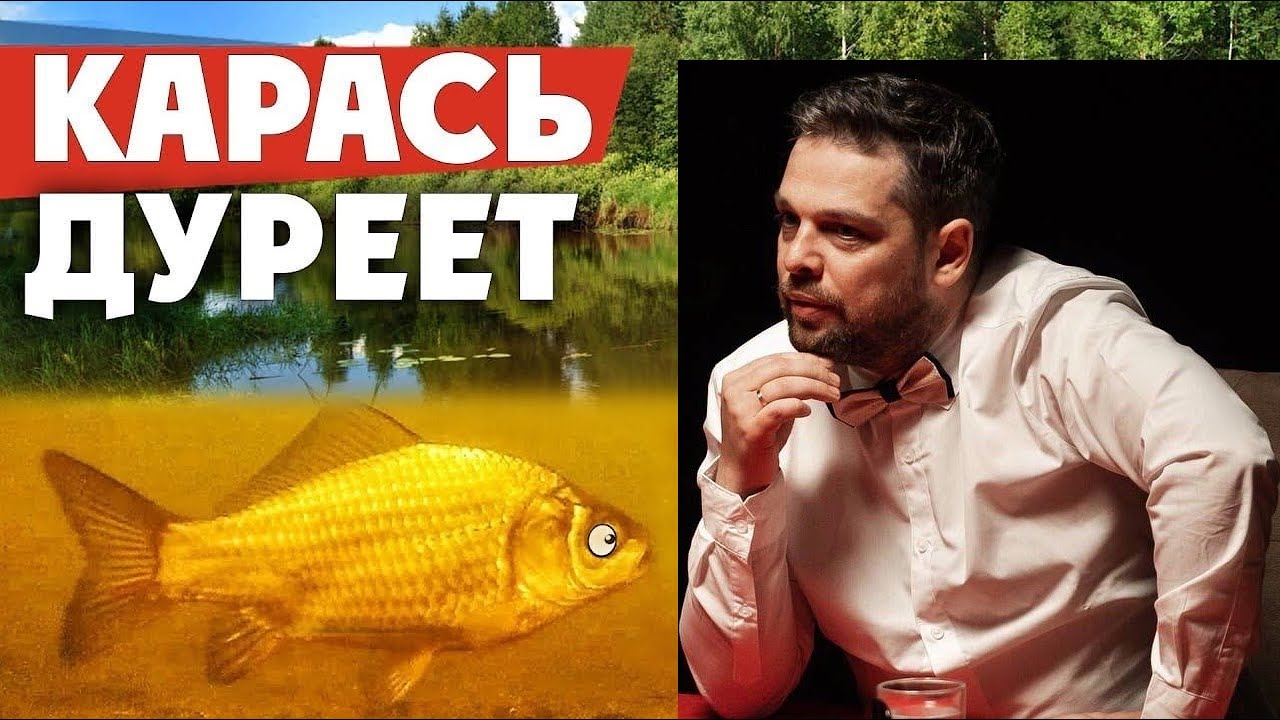 Караси Валеруна (и другие шалости) на турнире 