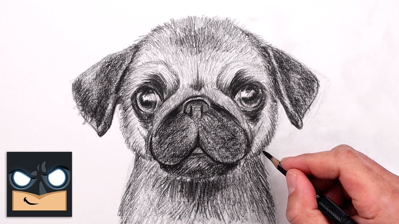 How To Draw a Pug | Beginner Pencil Sketch Tutorial (Step-by-Step)