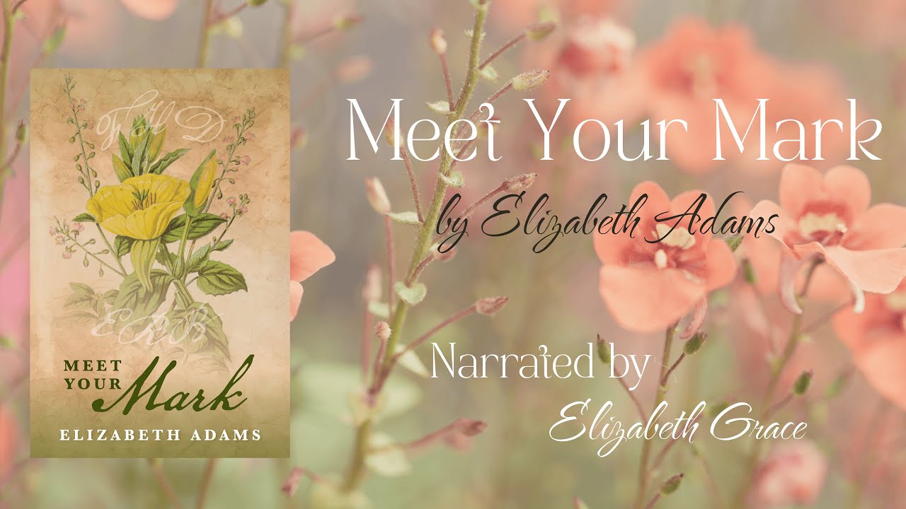 Meet Your Mark, Full Audiobook