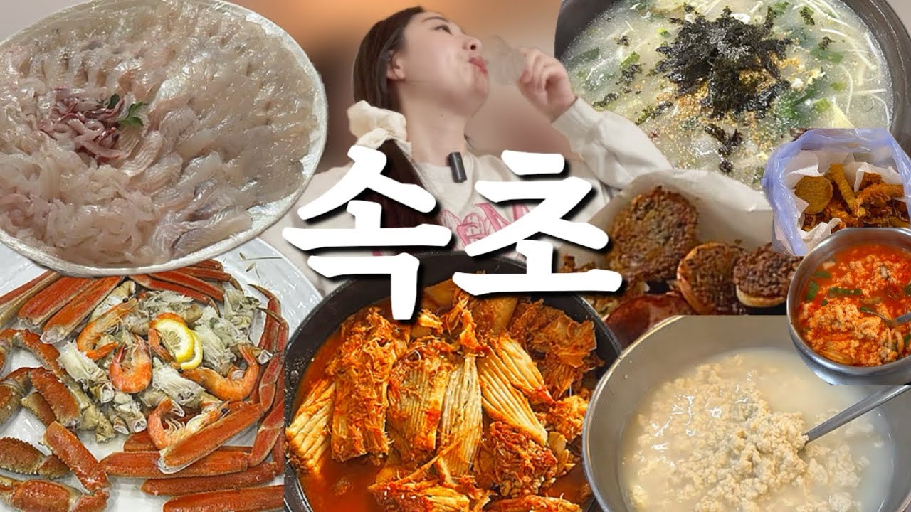속초 가서도 그저 먹기만 하는구나🦀 2박3일 먹부림 보러 오실 분~!🤗 | 대게 | 가오리찜 | 복어 | 도다리 | 송정희어머니순두부 | 소라네튀김 | 누룽지오징어순대 | 감나무집