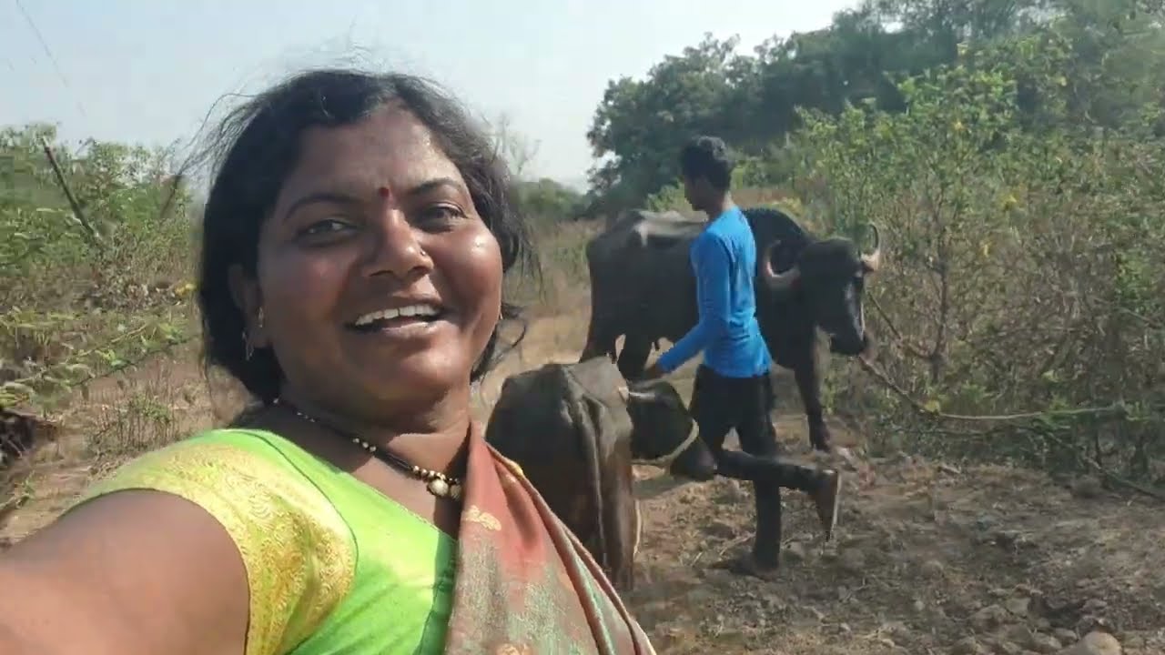 पोचलो त गावाकड मालका न पसारा ऊतर ला दिव्या नी घर झाडून काडल 🙏#vlog #manishahajare