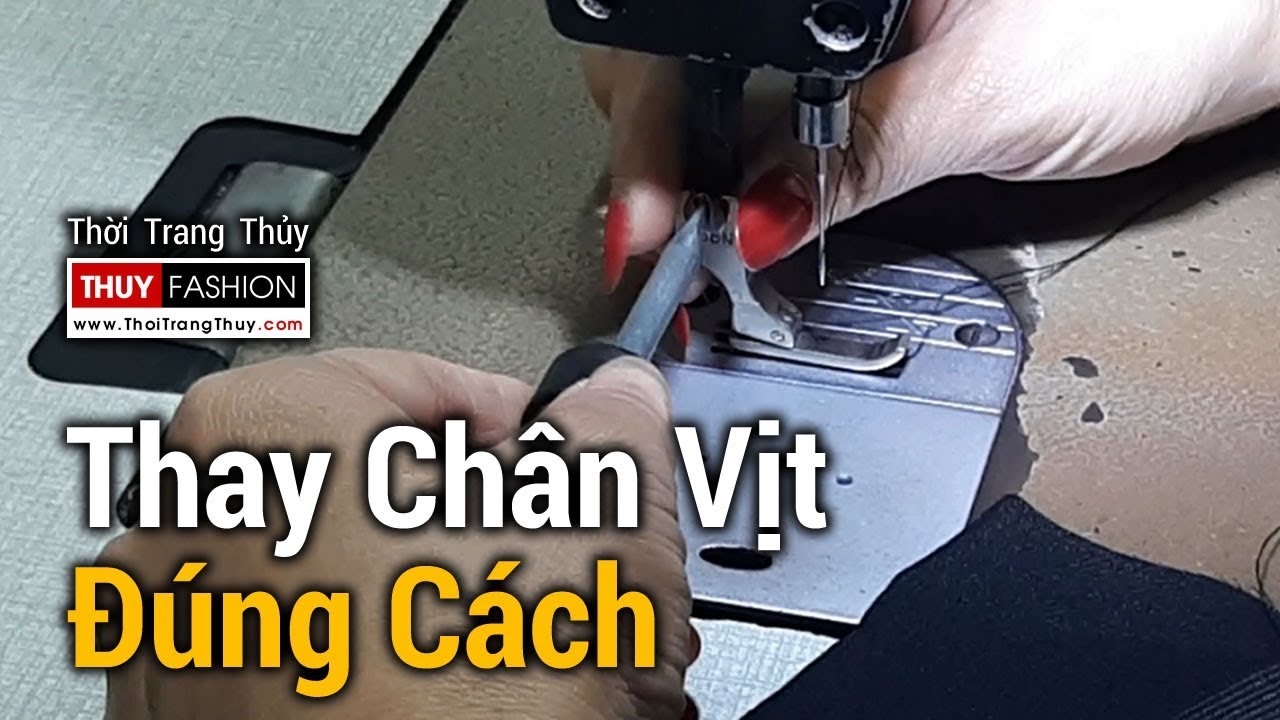 Cách thay Chân vịt (Chuẩn) Máy may Công nghiệp 1 kim
