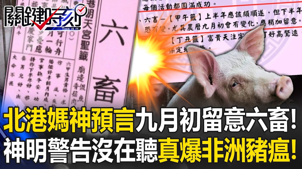 神預言！北港媽大年初四「留意六畜」！ 「農曆九月初」真的爆非洲豬瘟！【關鍵時刻】20251027-2 張炤和 林裕豐 張禹宣