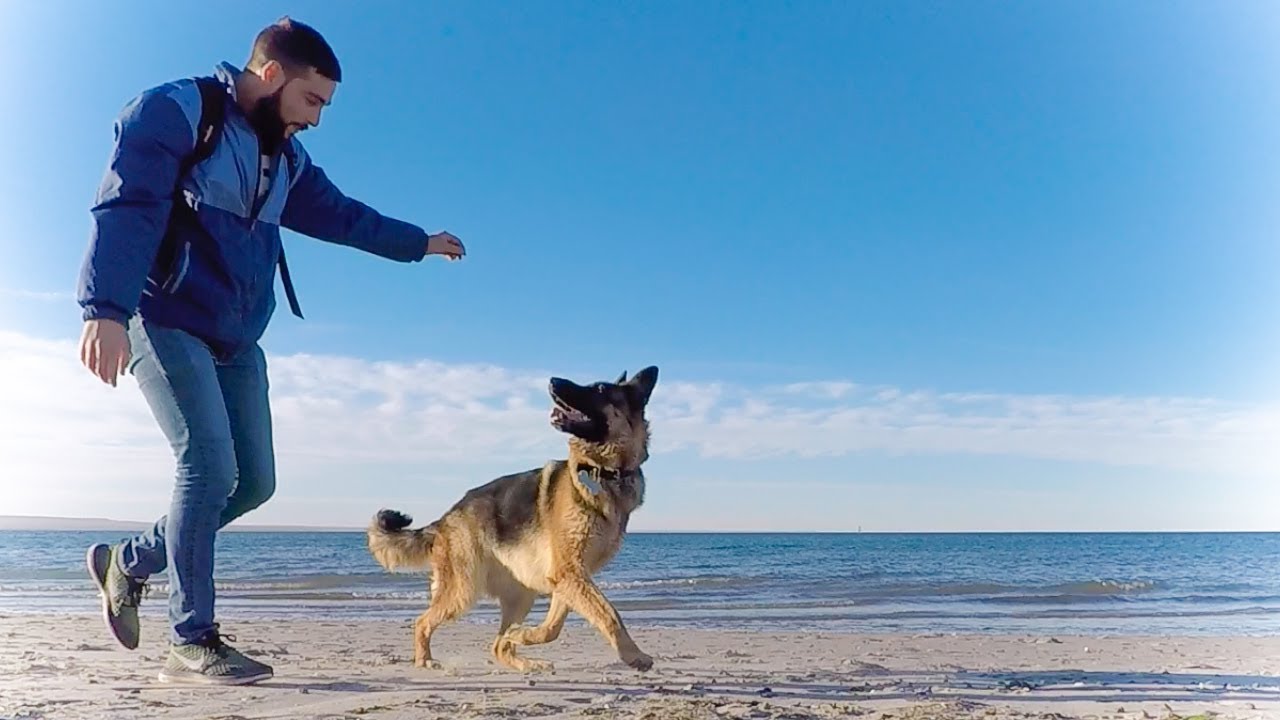 J'AI ADOPTÉ UN CHIEN !! (Vlog Argentine)