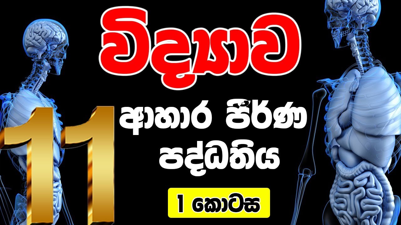 11 ශ්‍රේණිය විද්‍යාව | ආහාර ජීර්ණ පද්ධතිය | 1 කොටස | Human digestive system | O/L Science