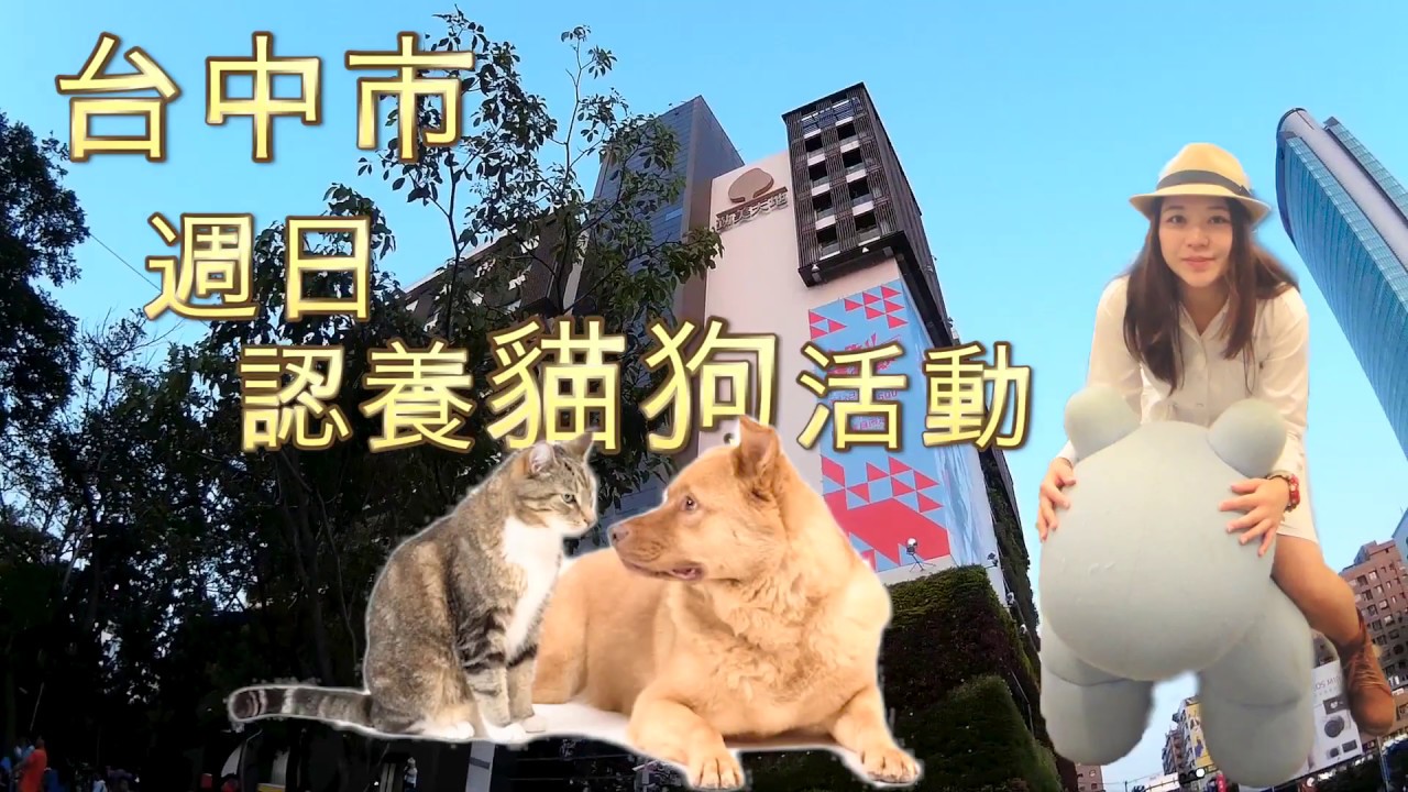 【領養代替購買！】台中市週日認養貓狗活動