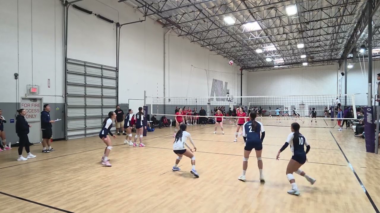 Actyve 15 Adidas vs SG 15 Elite - Set 2