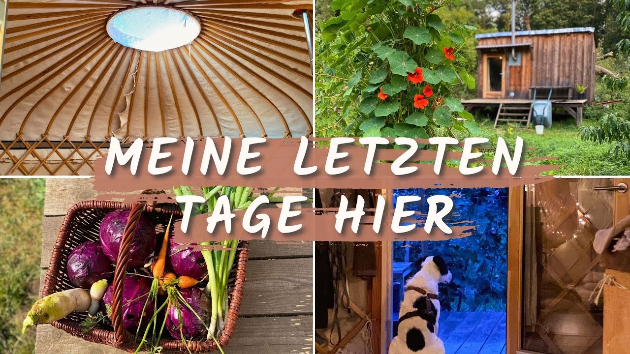 📦 Umzugs-Vorbereitungen im Selbstversorger Garten und meiner Jurte VLOG 52