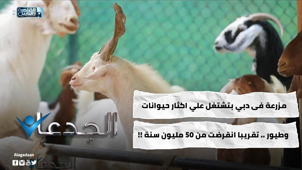 مزرعة فى دبي بتشتغل علي اكثار حيوانات وطيور .. تقريبا انقرضت من ٥٠ مليون سنة !!