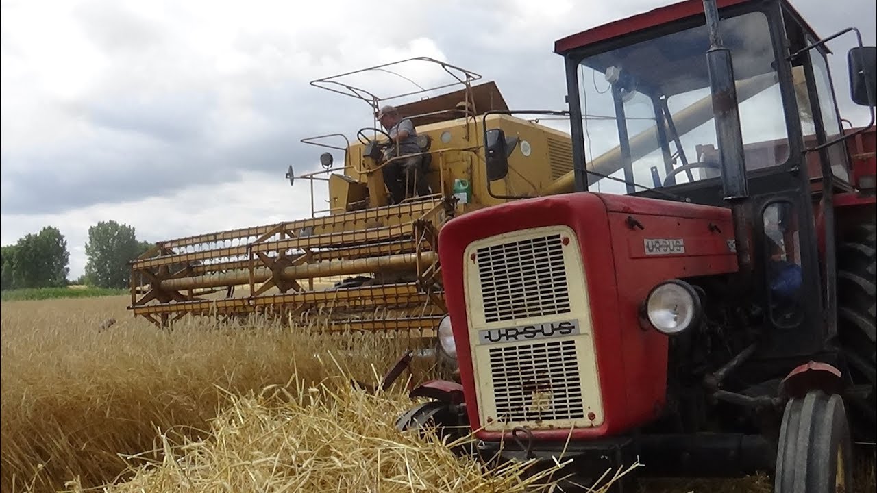 Żniwa 2019 / Żyto / Bizon zo56 vs Ursus c-360/ Dźwięk Bizona!
