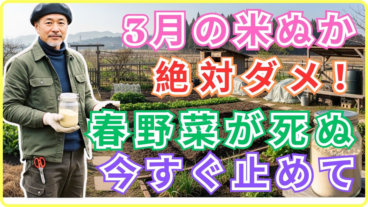 【99％の家庭菜園が知らない】米ぬかを入れるな！3月の土作りで絶対やってはいけないNG行為。春野菜が全滅しかねない致命的なミス。 今すぐ手を止めて！【春野菜 土づくり】 【3月 家庭菜園】