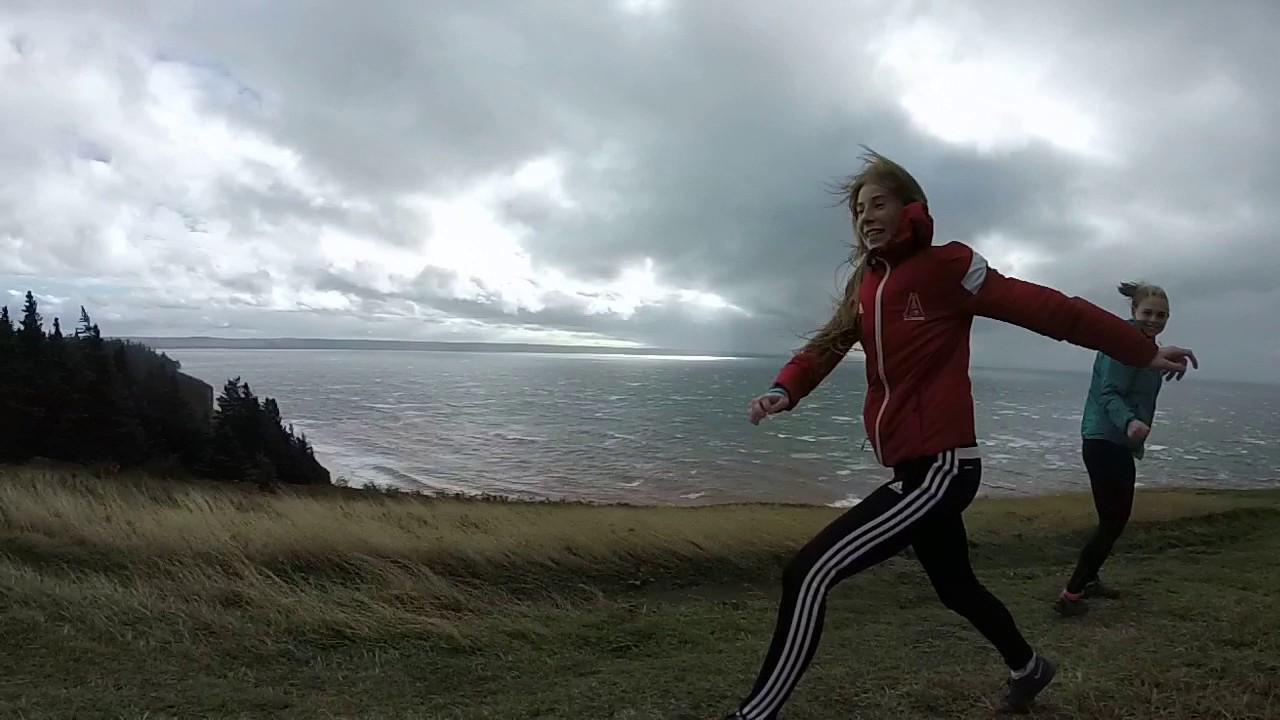 WINDSTORM AT CAPE SPLIT
