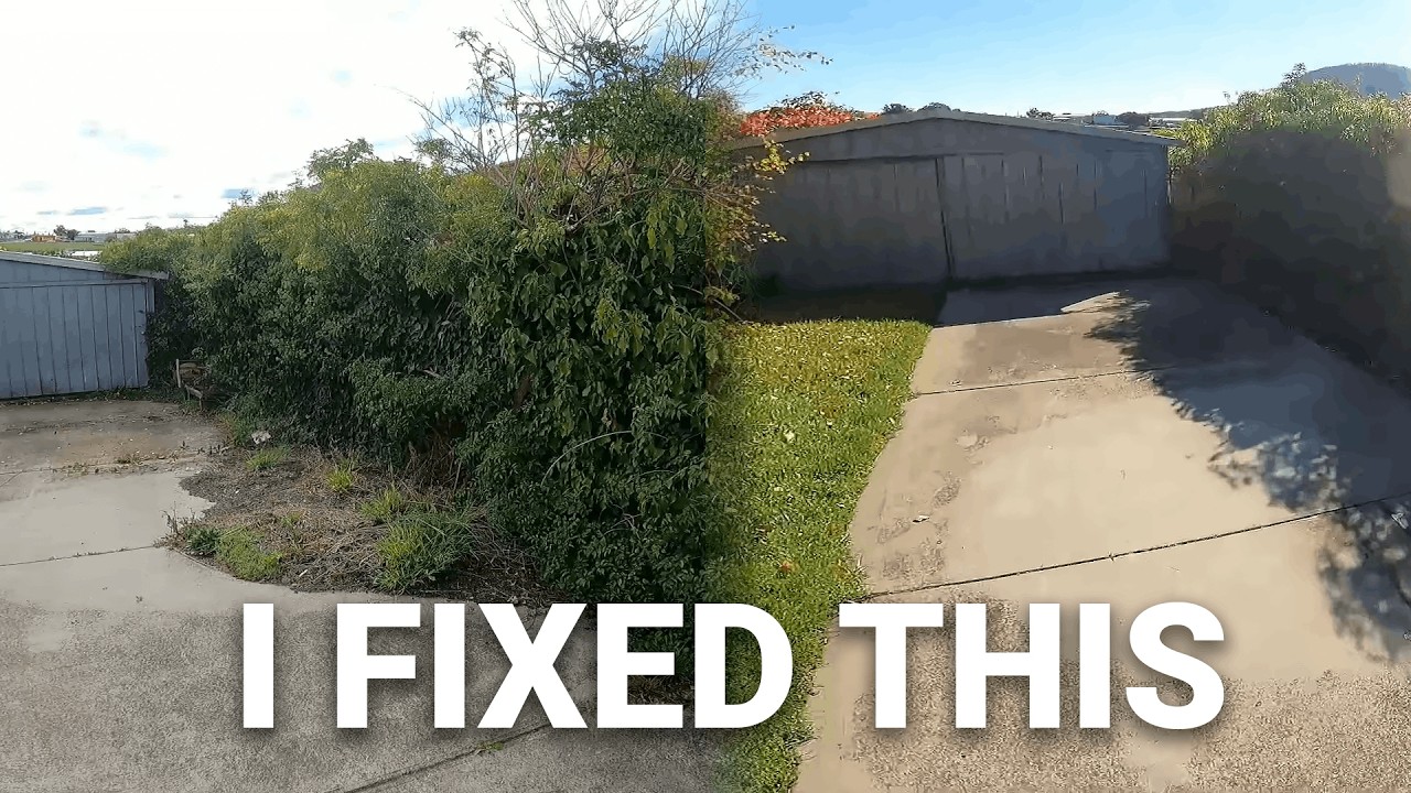 Overgrown Lawn Rescue Hobart | 3 Years of Green Waste Cleared FREE