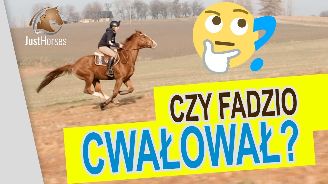 Czy Fadzio Cwałował? Oceńcie sami!