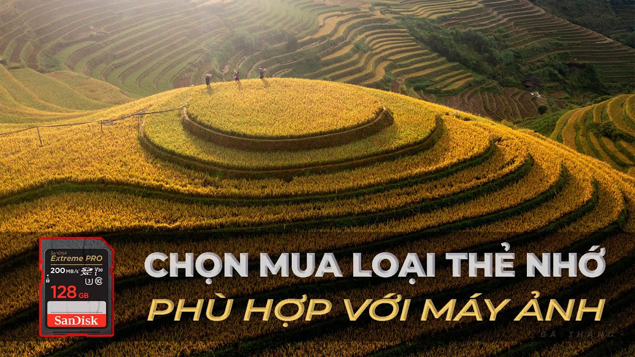 Chọn mua loại thẻ nhớ phù hợp với máy ảnh!