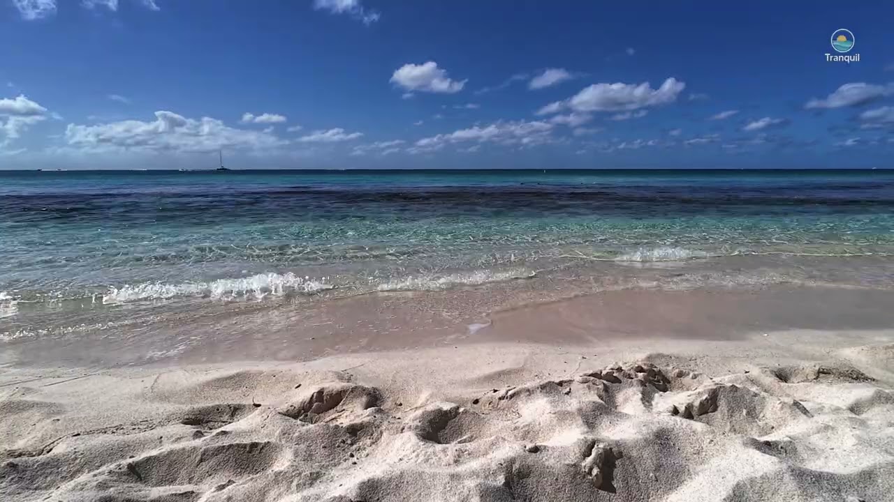 Seven Mile Beach Grand Cayman 🌊 Ocean Waves for Sleep & Calm