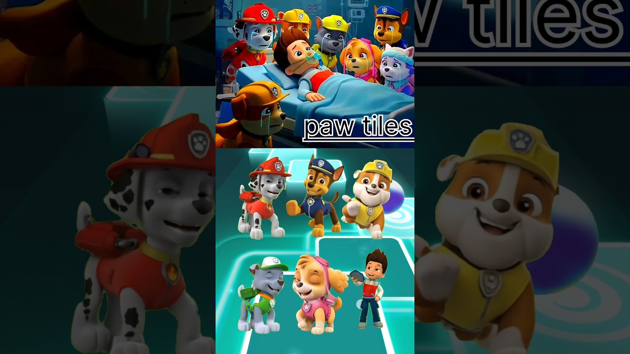 PAW Patrol:  - Zuma - Skye 🆚  Marshall - Ryder 🆚 Chase - Rocky Tiles Hop EDM Rush 🎧🤍
