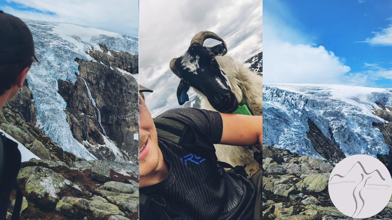Gletscherwanderung, Gletscherbruch und Ziegenbiss - Tagestrip Buarbreen und Reinanuten