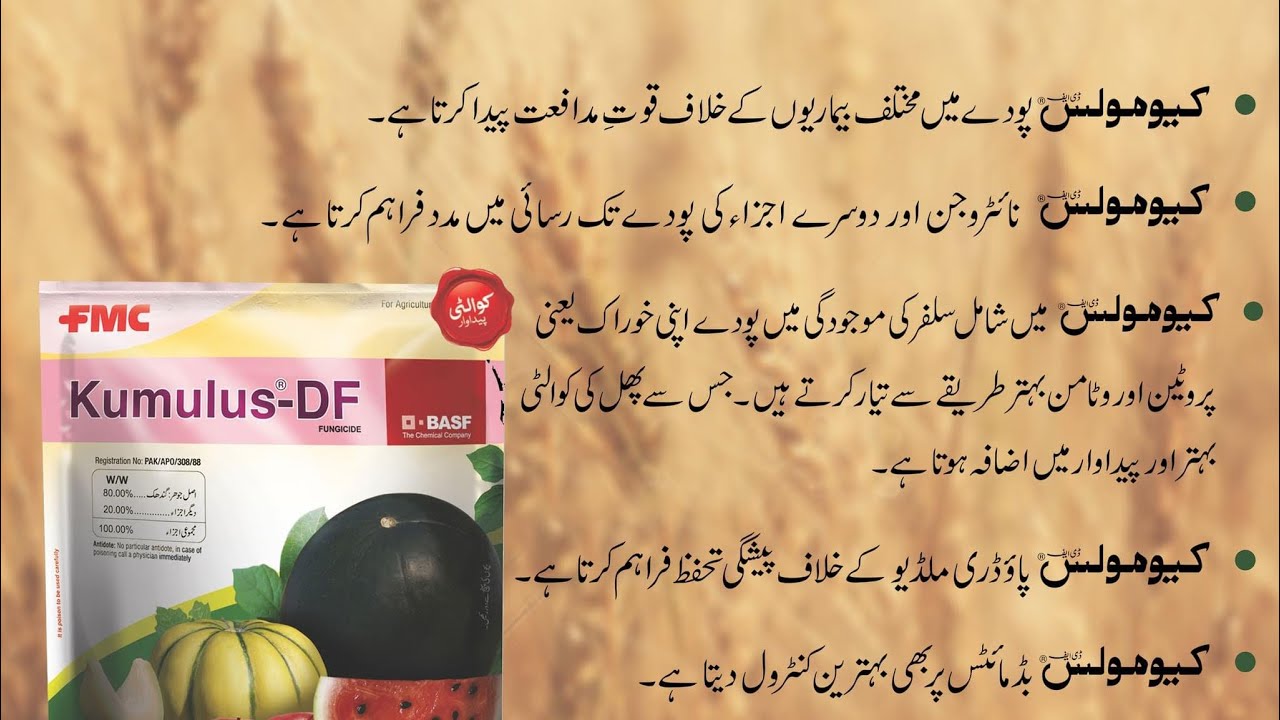 Kumulus DF FMC best available sulphur 80% for all plants and crops | Kussan Ghar