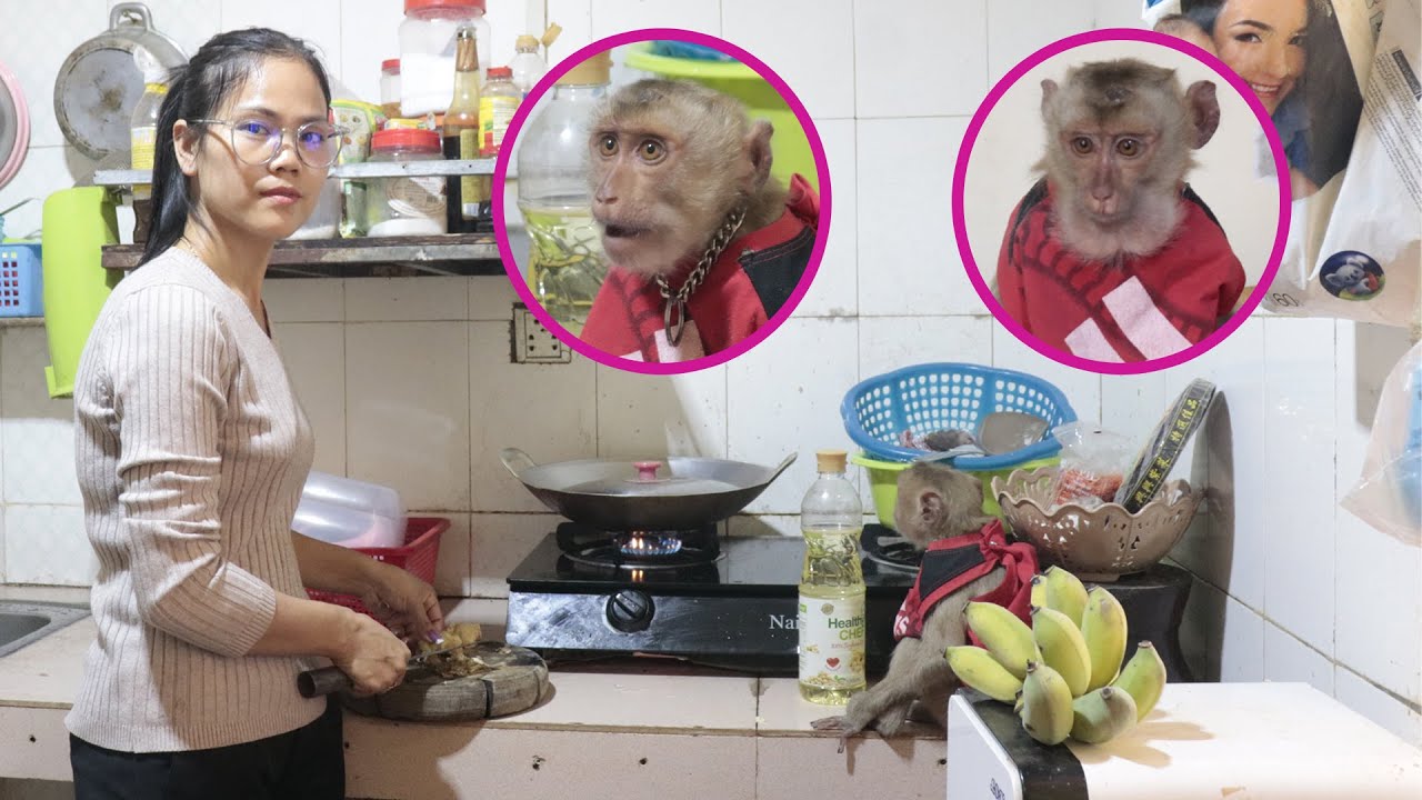SiSi monkey helps her mom to cook then eat lunch by herself