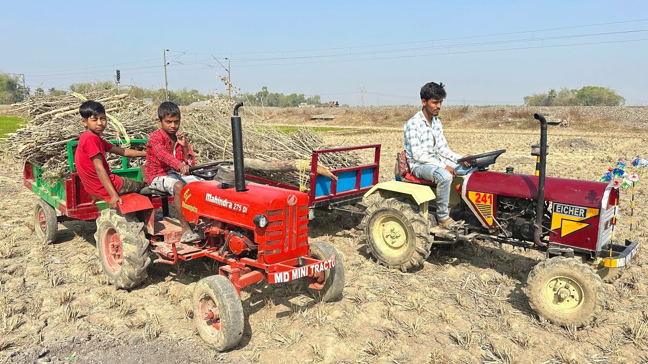 In the Mahindra and Eicher Tractor We Brought Two Trolley Wood | Tractor Video | Tractor 