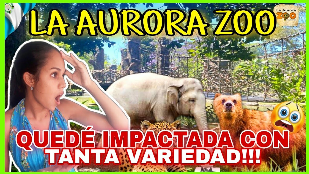 ZOO LA AURORA😖¡DESTINO TURÍSTICO  INCREÍBLE 😮 de GUATEMALA🇬🇹2023!¡Cubana reacciona!#reaction #cubana