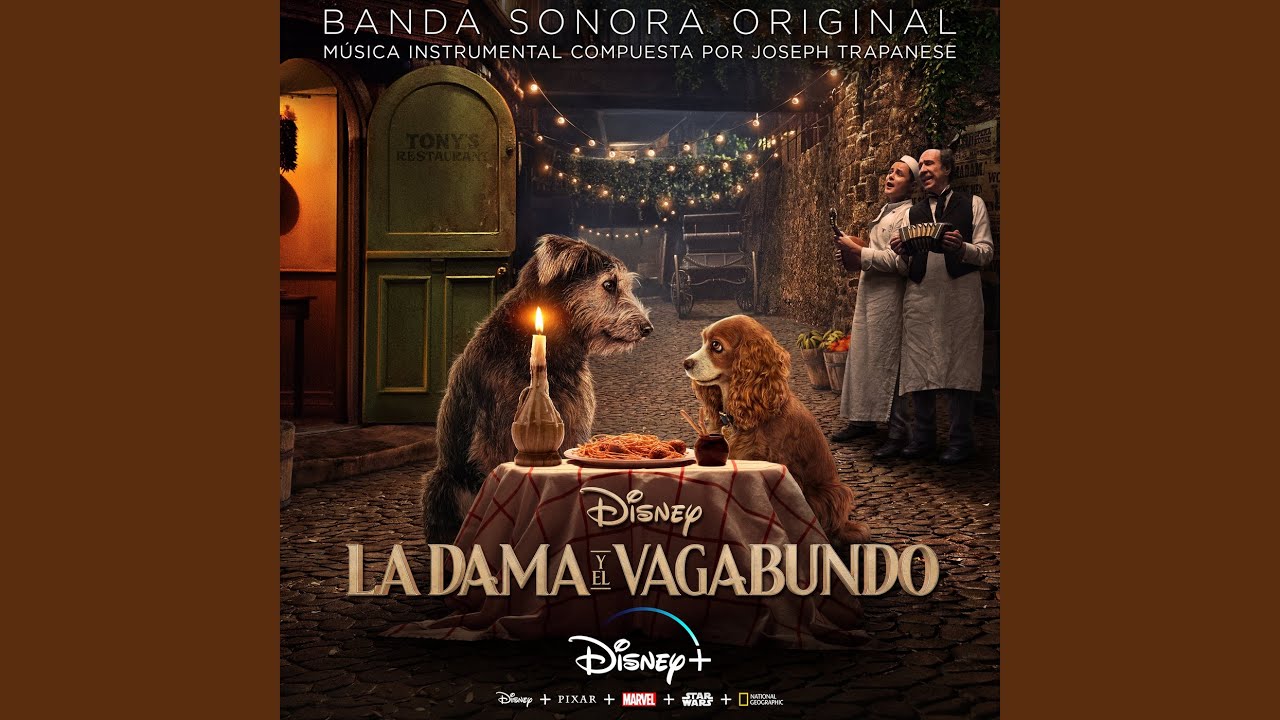 Es Un Vagabundo