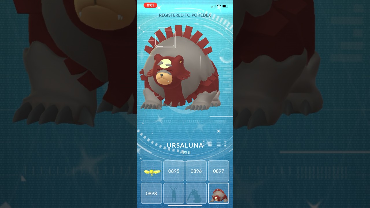 SHINY URSALUNA EVOLUTION IN POKEMON GO!!! 