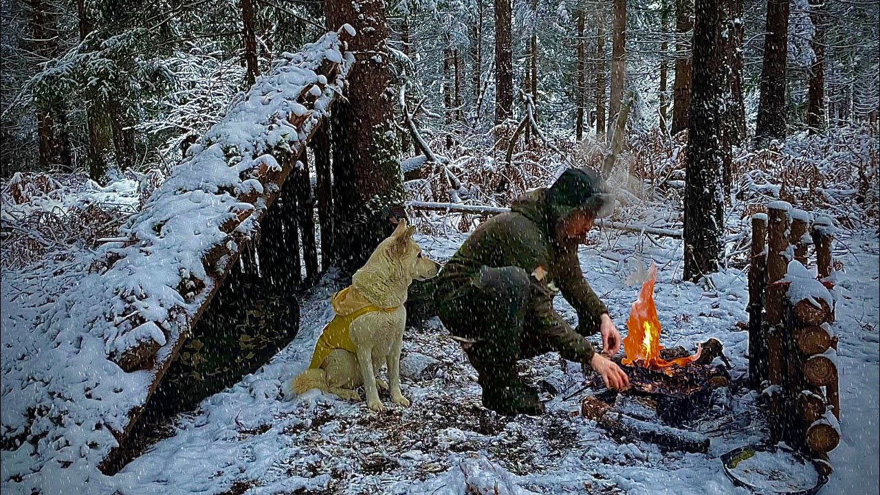 BLIZZARD SNOWSTORM, Winter Survival Bushcraft Shelter in Heavy Snow, Secret in NATURAL SHELTER ASMR