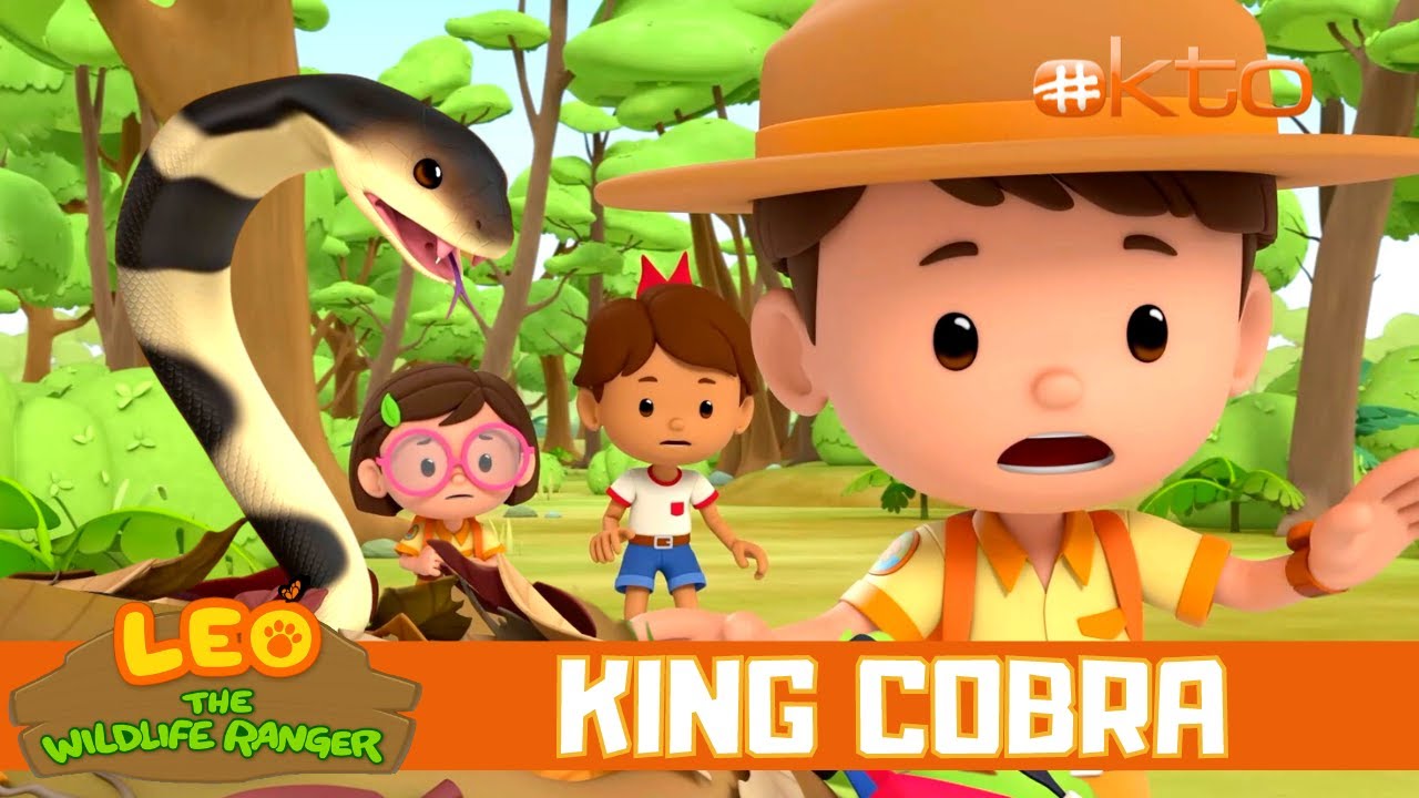 The scary COBRA is protecting the DRONE? | Leo the Wildlife Ranger Spinoff S3E08 | @mediacorpokto