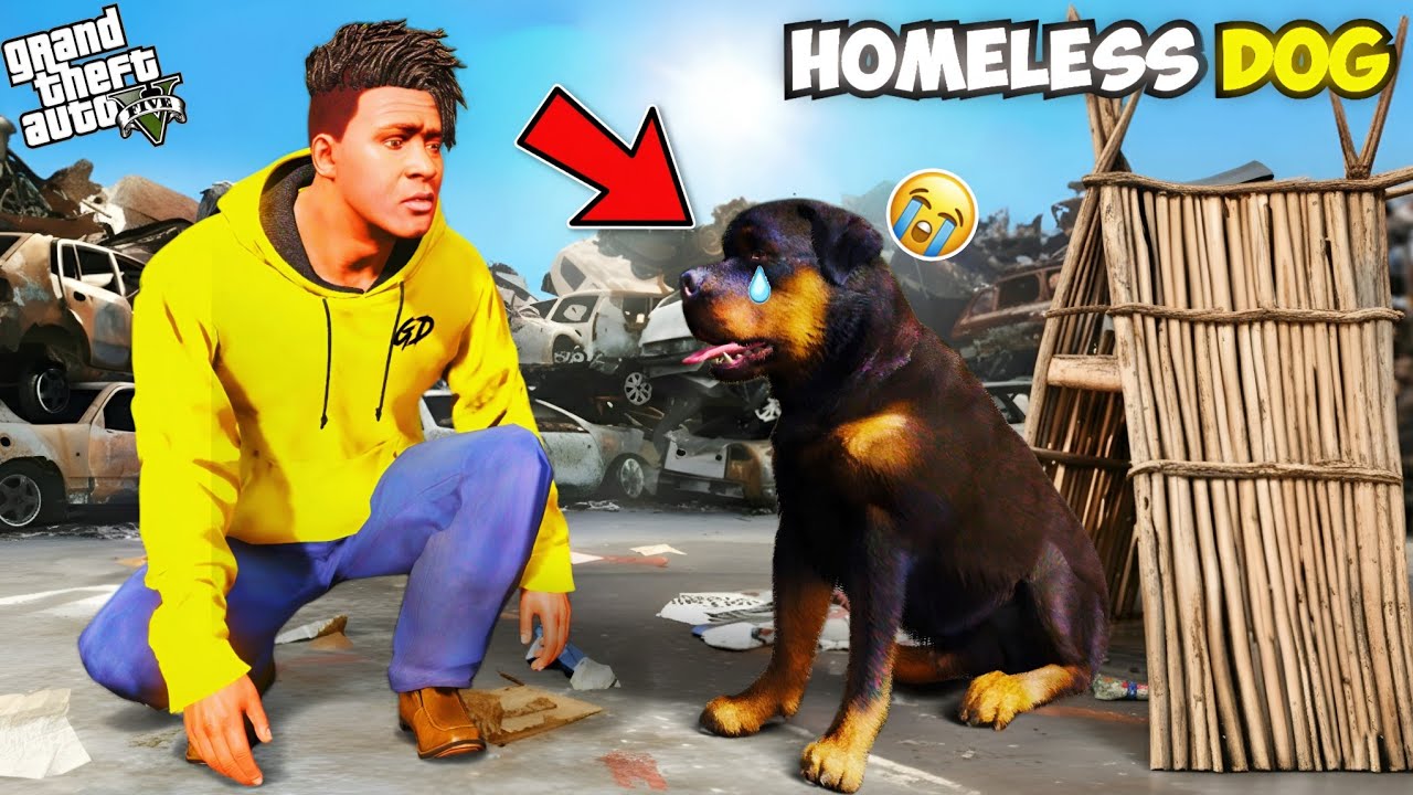 Franklin Found Homeless Dogs Secret Puppies In GTA 5 | Franklin and Chop GTA 5