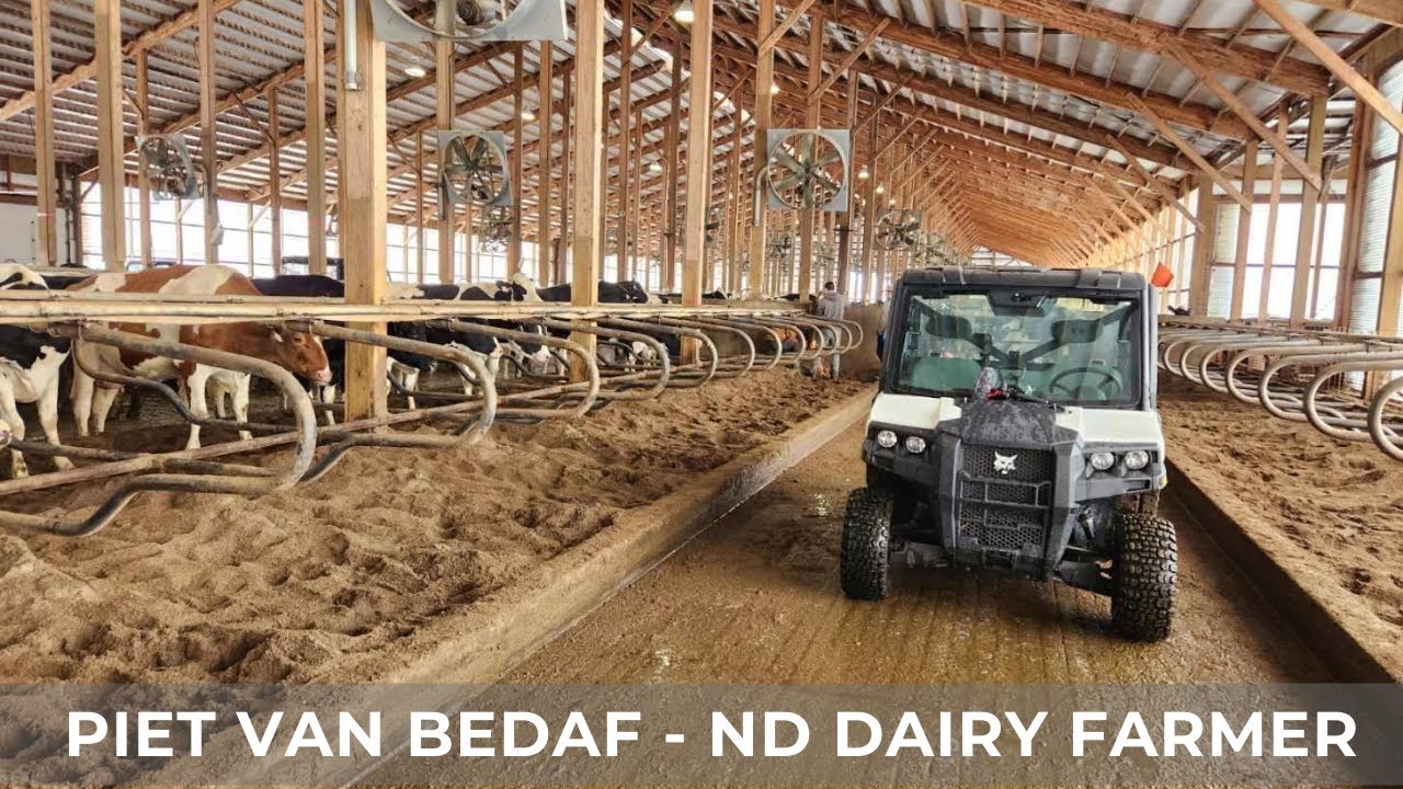 Adjusting Freestalls for our Cows & Heifers (83)