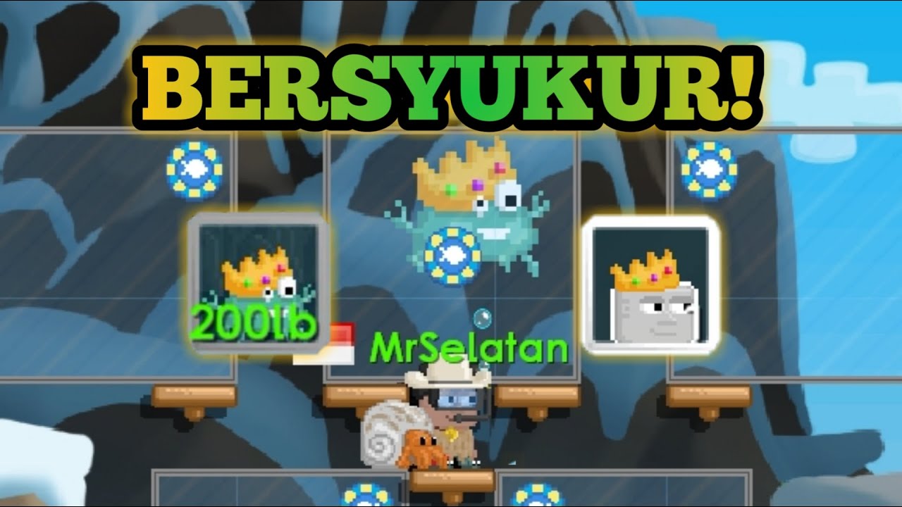 Alaskan King Crab Profit + Hoki ( Got King Crown )