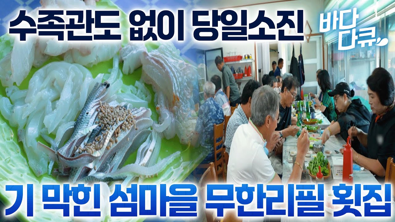 방금 잡아온 횟감 그대로 손님 밥상 위에 올라간다/맛과 가격 가성비 모두 잡은 섬마을 무한리필 횟집/#바다다큐