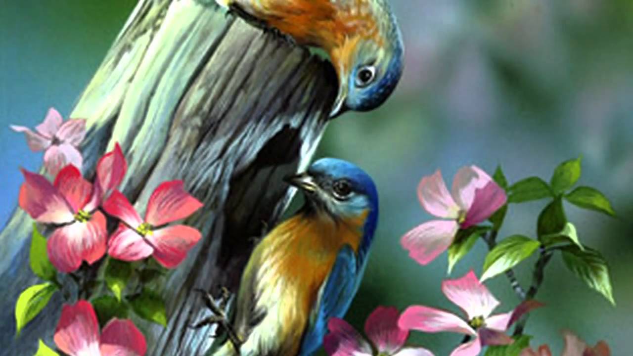 Heritage Singers - Sheltered In The Arms Of God