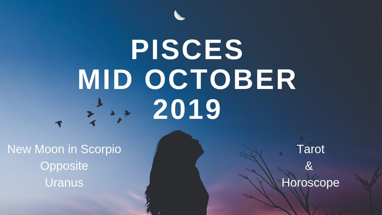 PISCES A real adventure of the heart | Mid October 2019 Tarot and Horoscope
