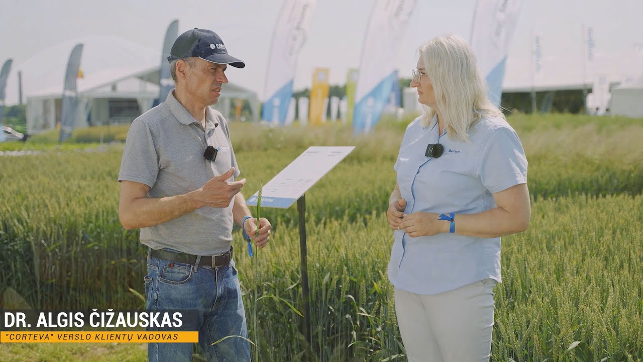 Herbicido LANCELOT ir fungicido VERBEN stipriosios savybės