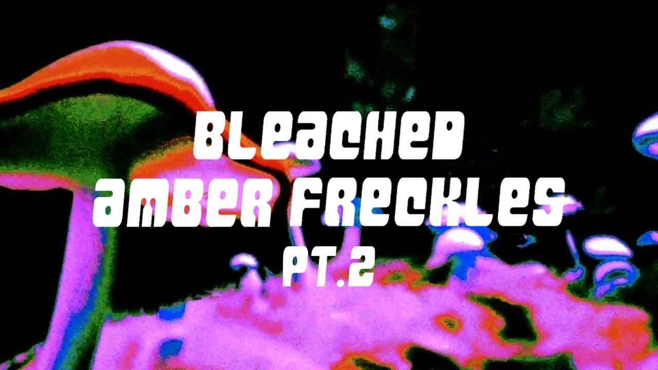 Deafslow - Bleached Amber Freckles pt.2 (Clip Officiel)