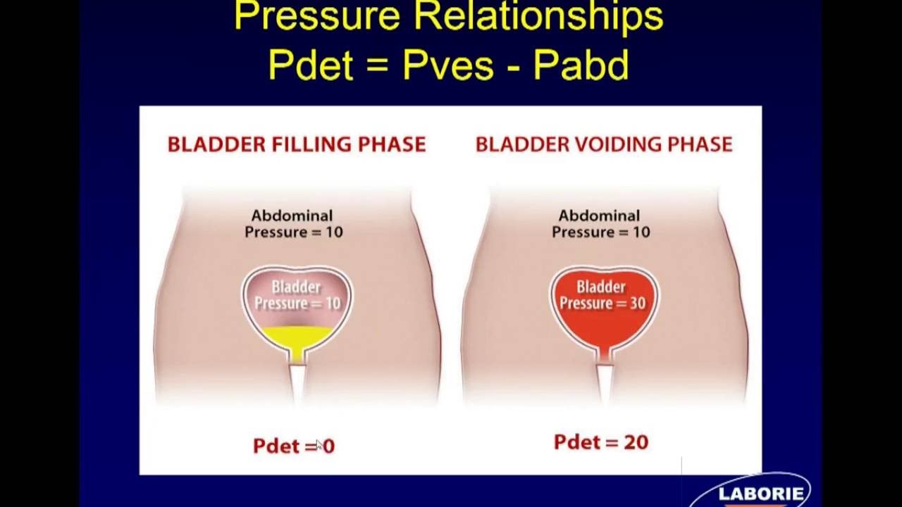 LABORIE Webinar Series: Components of Urodynamic Testing